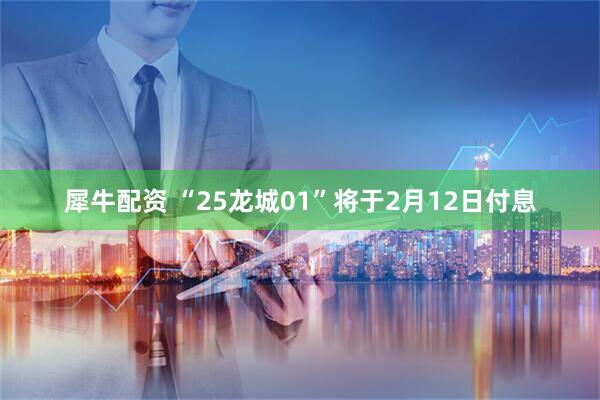 犀牛配资 “25龙城01”将于2月12日付息