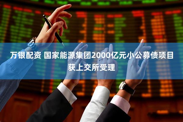 万银配资 国家能源集团2000亿元小公募债项目获上交所受理